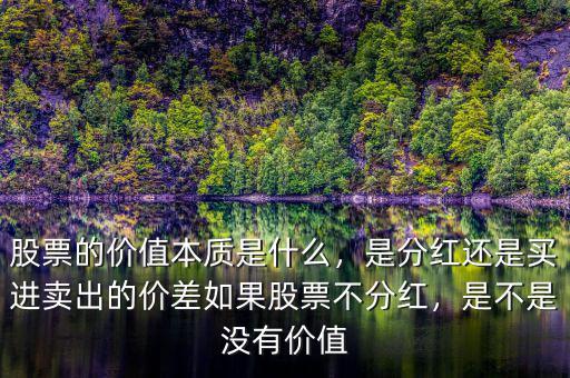 股票的價值本質(zhì)是什么，是分紅還是買進(jìn)賣出的價差如果股票不分紅，是不是沒有價值