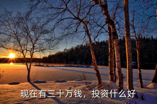 現(xiàn)在有三十萬錢，投資什么好