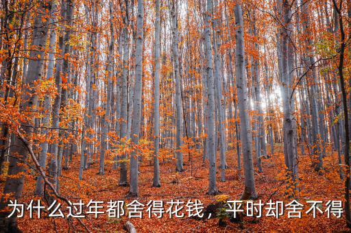為什么過(guò)年都舍得花錢，平時(shí)卻舍不得