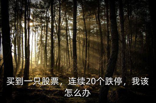 買到一只股票，連續(xù)20個跌停，我該怎么辦