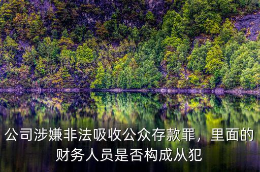 公司涉嫌非法吸收公眾存款罪，里面的財務(wù)人員是否構(gòu)成從犯