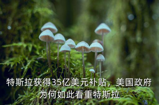 特斯拉獲得35億美元補(bǔ)貼，美國(guó)政府為何如此看重特斯拉
