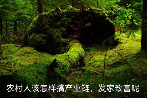 農(nóng)村人該怎樣搞產(chǎn)業(yè)鏈，發(fā)家致富呢