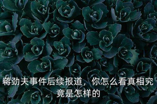 蔣勁夫事件后續(xù)報道，你怎么看真相究竟是怎樣的
