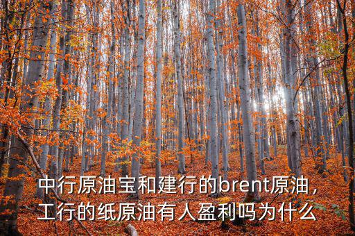 中行原油寶和建行的brent原油，工行的紙?jiān)陀腥擞麊釣槭裁? class=