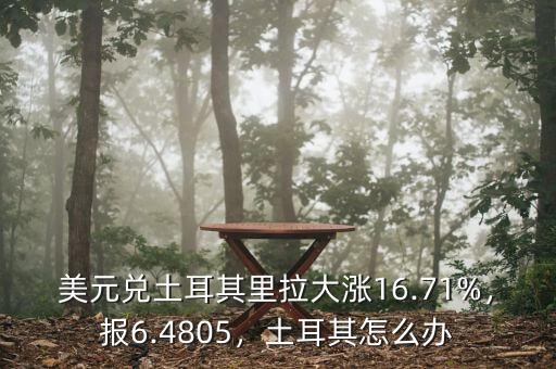 美元兌土耳其里拉大漲16.71%，報(bào)6.4805，土耳其怎么辦