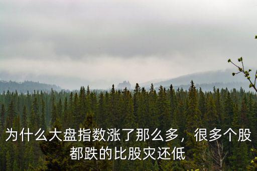 為什么大盤指數(shù)漲了那么多，很多個(gè)股都跌的比股災(zāi)還低
