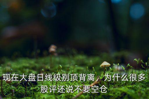 現(xiàn)在大盤日線級別頂背離，為什么很多股評還說不要空倉
