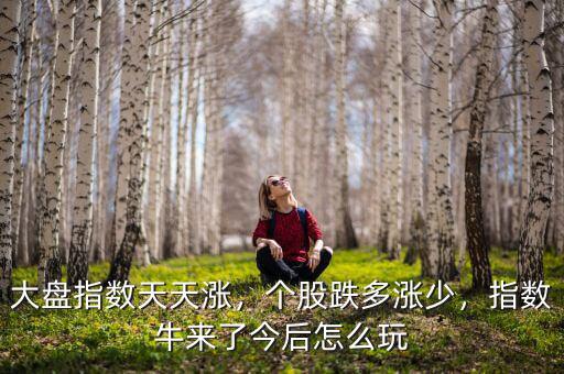 大盤指數(shù)天天漲，個股跌多漲少，指數(shù)牛來了今后怎么玩