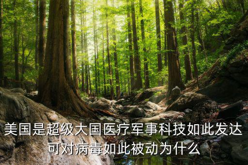 美國是超級大國醫(yī)療軍事科技如此發(fā)達(dá)可對病毒如此被動(dòng)為什么