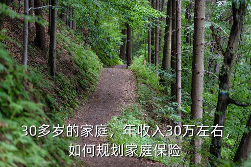 30多歲的家庭，年收入30萬(wàn)左右，如何規(guī)劃家庭保險(xiǎn)