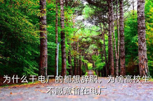 為什么干電廠(chǎng)的都想辭職，為啥高校生不愿意留在電廠(chǎng)