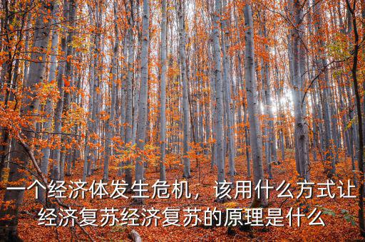 一個經(jīng)濟體發(fā)生危機，該用什么方式讓經(jīng)濟復(fù)蘇經(jīng)濟復(fù)蘇的原理是什么