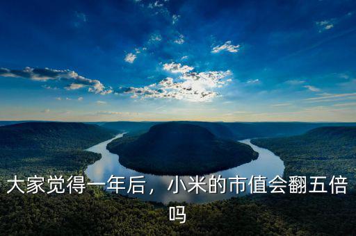 大家覺得一年后，小米的市值會翻五倍嗎