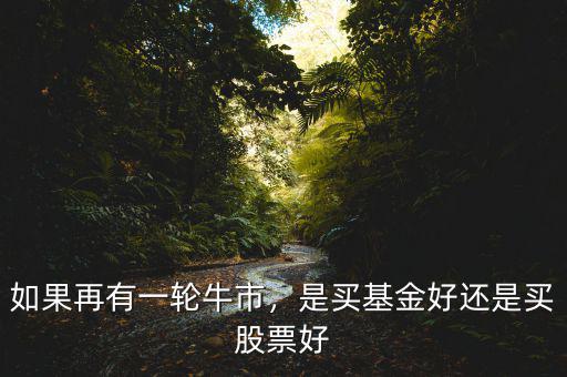 如果再有一輪牛市，是買(mǎi)基金好還是買(mǎi)股票好