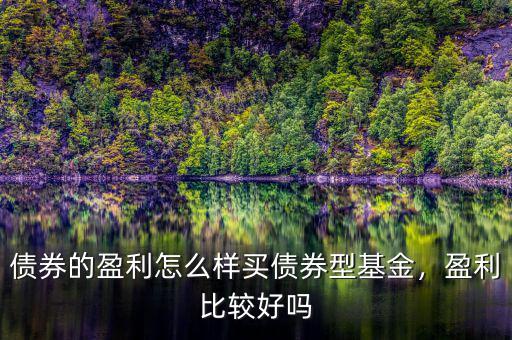 債券的盈利怎么樣買債券型基金，盈利比較好嗎