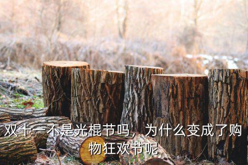 雙十一不是光棍節(jié)嗎，為什么變成了購(gòu)物狂歡節(jié)呢