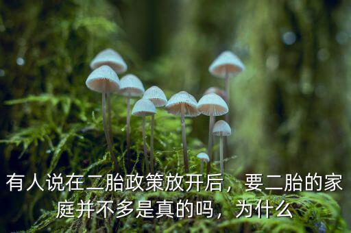 有人說在二胎政策放開后，要二胎的家庭并不多是真的嗎，為什么