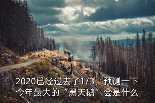 2020已經(jīng)過去了1/3，預(yù)測(cè)一下今年最大的“黑天鵝”會(huì)是什么