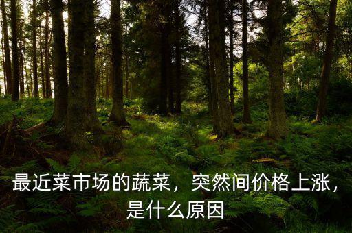 最近菜市場的蔬菜，突然間價格上漲，是什么原因
