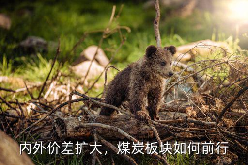 內(nèi)外價(jià)差擴(kuò)大，煤炭板塊如何前行