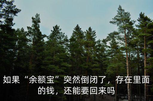 如果“余額寶”突然倒閉了，存在里面的錢，還能要回來嗎