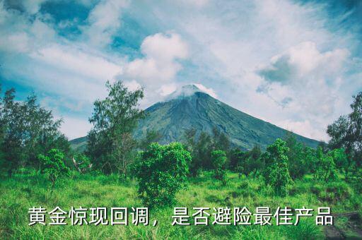 黃金驚現(xiàn)回調(diào)，是否避險(xiǎn)最佳產(chǎn)品