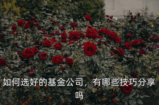 如何選好的基金公司，有哪些技巧分享嗎