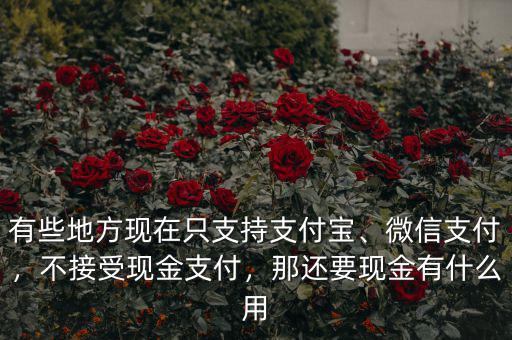 有些地方現(xiàn)在只支持支付寶、微信支付，不接受現(xiàn)金支付，那還要現(xiàn)金有什么用