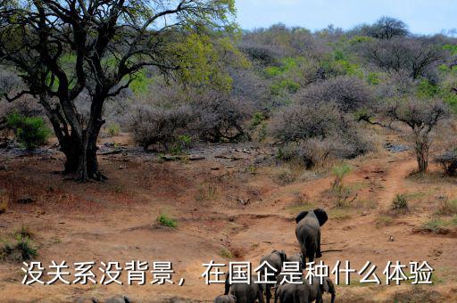 沒關(guān)系沒背景，在國企是種什么體驗