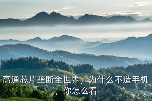 高通芯片壟斷全世界，為什么不造手機(jī)，你怎么看