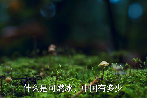 什么是可燃冰，中國有多少
