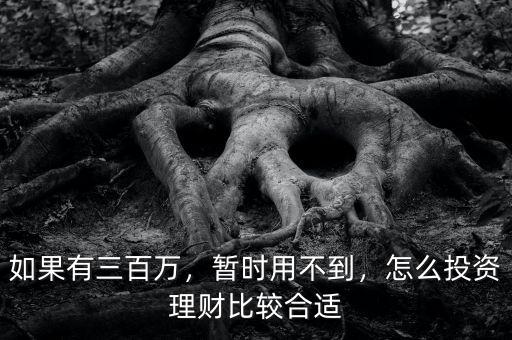 如果有三百萬(wàn)，暫時(shí)用不到，怎么投資理財(cái)比較合適