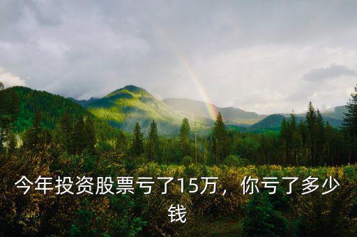 今年投資股票虧了15萬，你虧了多少錢