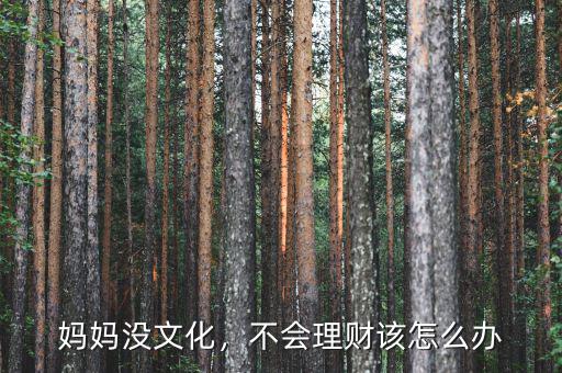 媽媽沒文化，不會理財該怎么辦