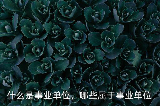什么是事業(yè)單位，哪些屬于事業(yè)單位