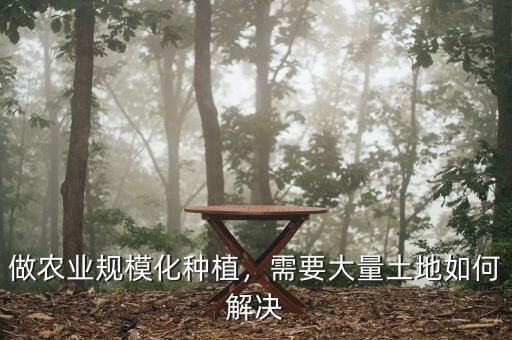 什么是土地規(guī)?；?jīng)營,規(guī)?；?jīng)營有哪些好處