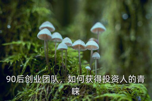 90后創(chuàng)業(yè)團隊，如何獲得投資人的青睞