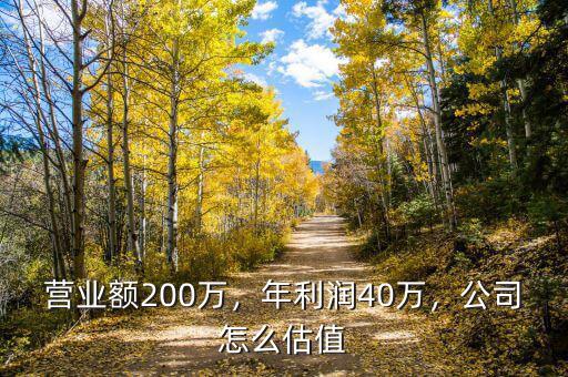 營(yíng)業(yè)額200萬(wàn)，年利潤(rùn)40萬(wàn)，公司怎么估值