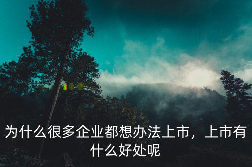 為什么很多企業(yè)都想辦法上市，上市有什么好處呢