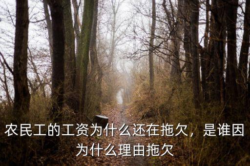 農(nóng)民工的工資為什么還在拖欠，是誰(shuí)因?yàn)槭裁蠢碛赏锨? class=