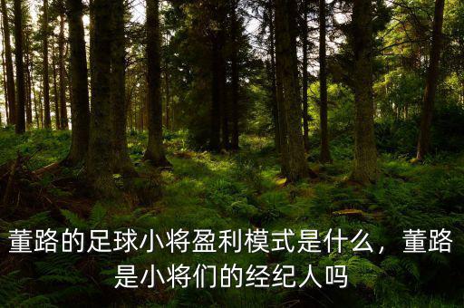 優(yōu)董中國(guó)俱樂部是什么,你對(duì)中國(guó)足球有什么看法
