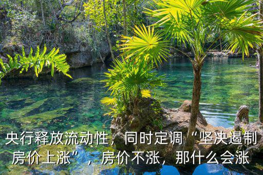 央行釋放流動性，同時定調(diào)“堅決遏制房價上漲”，房價不漲，那什么會漲