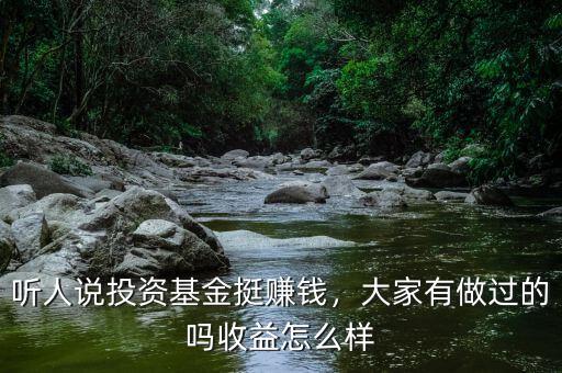 聽人說投資基金挺賺錢，大家有做過的嗎收益怎么樣