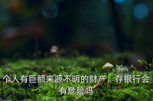 個(gè)人有巨額來源不明的財(cái)產(chǎn)，存銀行會(huì)有危險(xiǎn)嗎