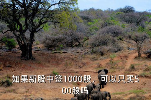 如果新股中簽1000股，可以只買(mǎi)500股嗎