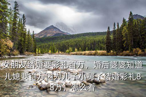 女朋友結(jié)婚要彩禮百萬，婚后婆婆知道兒媳要百萬因為兒子小舅子結(jié)婚彩禮88萬，怎么看
