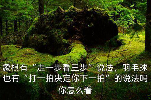 象棋有“走一步看三步”說法，羽毛球也有“打一拍決定你下一拍”的說法嗎你怎么看
