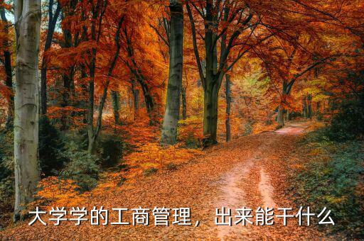 大學(xué)學(xué)的工商管理，出來能干什么