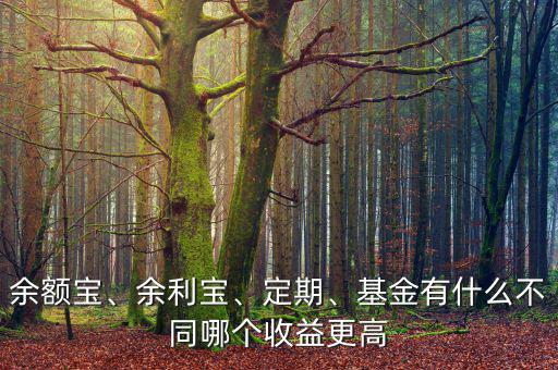 余額寶、余利寶、定期、基金有什么不同哪個(gè)收益更高